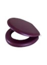 ASIENTO SANITARIO ACOJINADO CORAL 17 ANBEC 10671