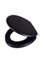 ASIENTO SANITARIO ACOJINADO NEGRO 17 ANBEC 10673
