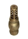 PICHANCHA D/BRONCE C/RESORTE  1"  ANBEC 10862