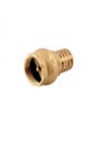 PICHANCHA YARDEN D/BRONCE 1.