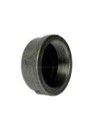 TAPON GALVANIZADO CAPA 1 1/4 MUELLER.